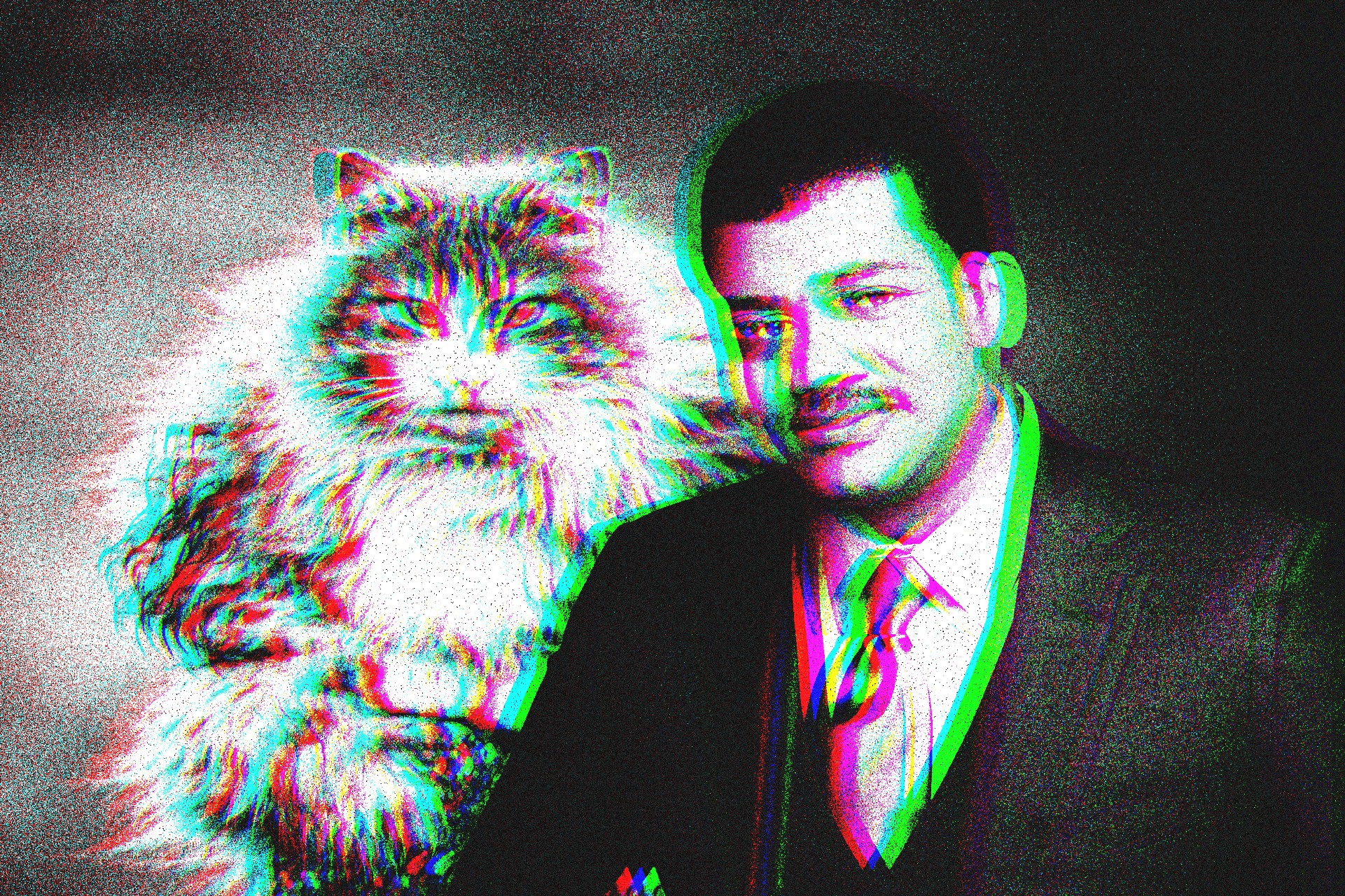 Scientists are like cats